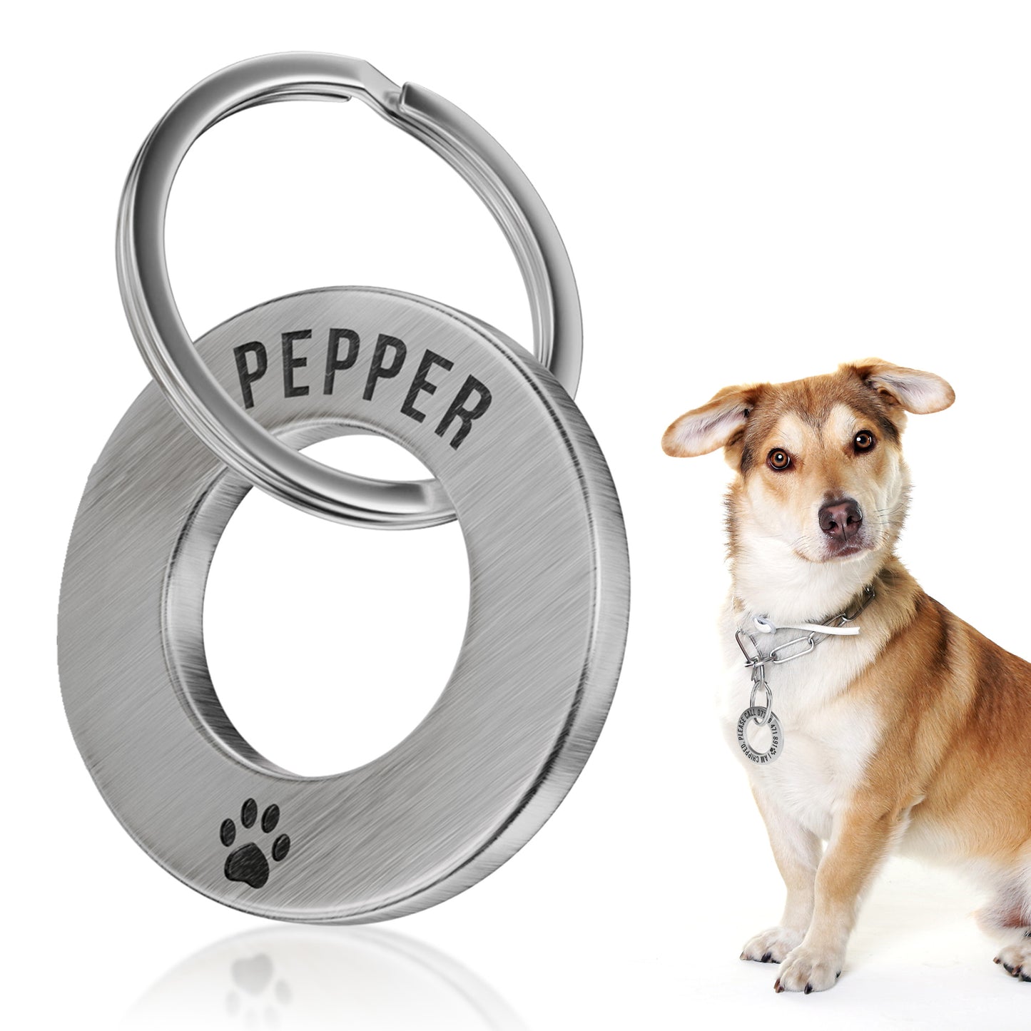 Premium Personalised ID Tags, Built for Their Everyday Adventures