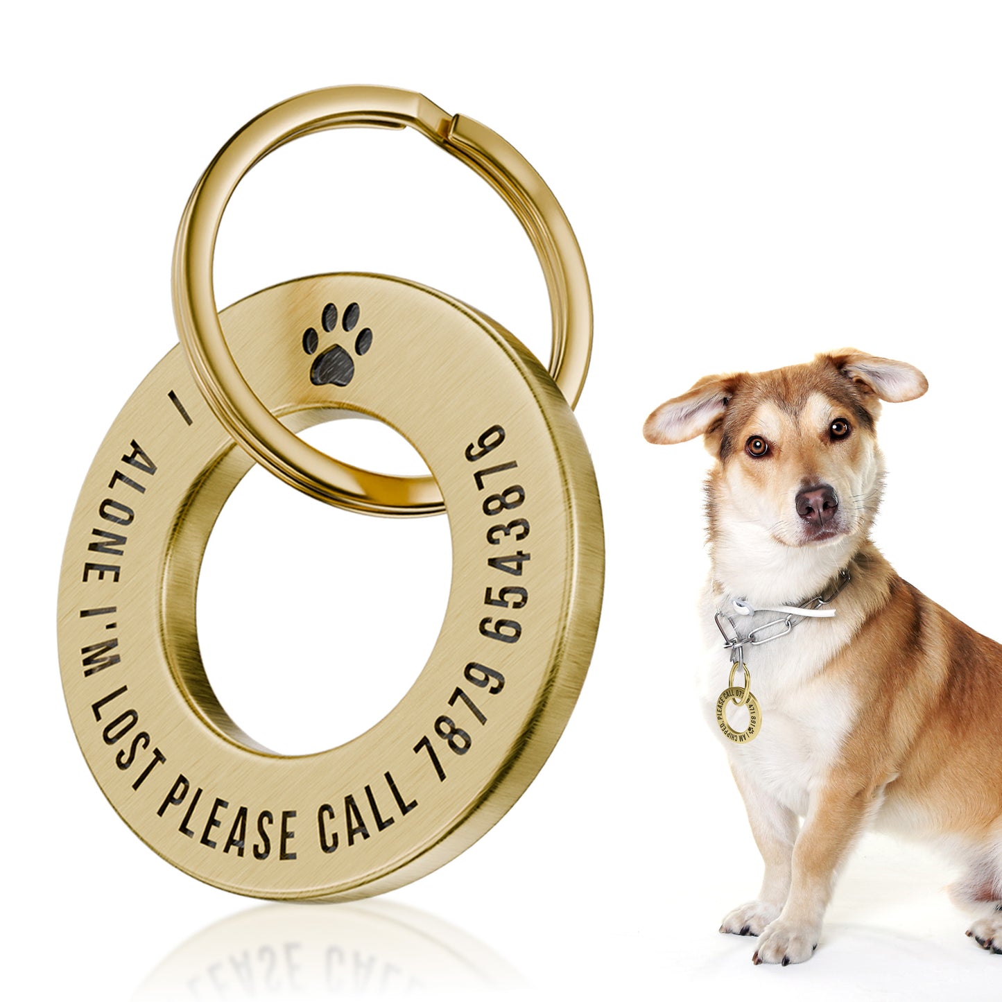 Premium Personalised ID Tags, Built for Their Everyday Adventures