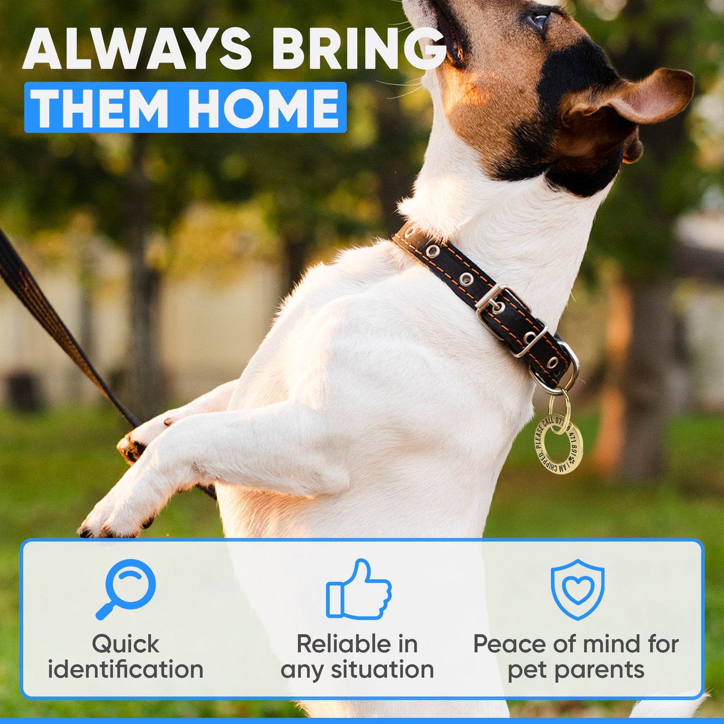 Premium Personalised ID Tags, Built for Their Everyday Adventures